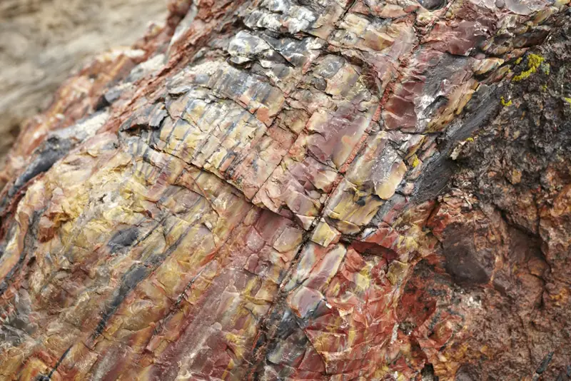 Verlegte Natursteinfläche im Raum Karlsruhe