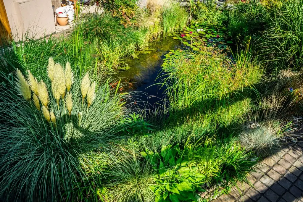 Naturteich-Anlage in Region Karlsruhe